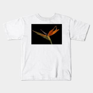 Bird of Paradise Kids T-Shirt